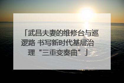 武昌夫妻的维修台与巡逻路 书写新时代基层治理“三重变奏曲”