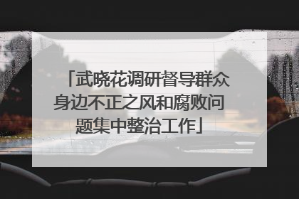 武晓花调研督导群众身边不正之风和腐败问题集中整治工作