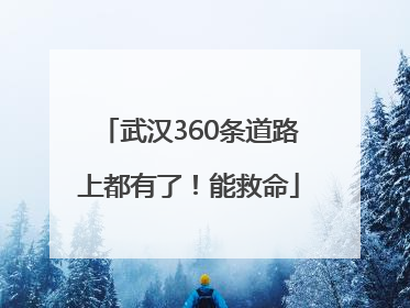 武汉360条道路上都有了！能救命