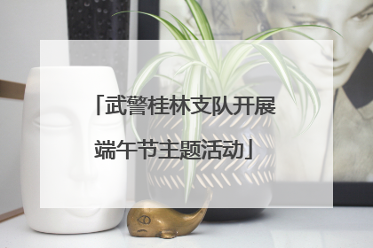 武警桂林支队开展端午节主题活动