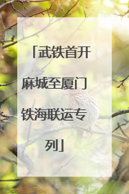 武铁首开麻城至厦门铁海联运专列