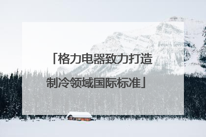 格力电器致力打造制冷领域国际标准