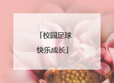 校园足球 快乐成长