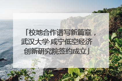 校地合作谱写新篇章，武汉大学·咸宁低空经济创新研究院签约成立