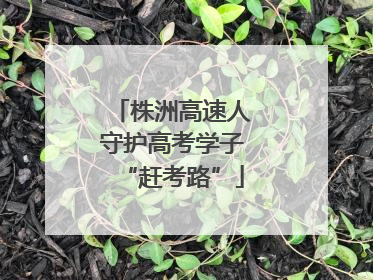 株洲高速人守护高考学子“赶考路”