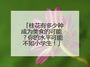 桂花有多少种成为美食的可能？你的水平可能不如小学生！