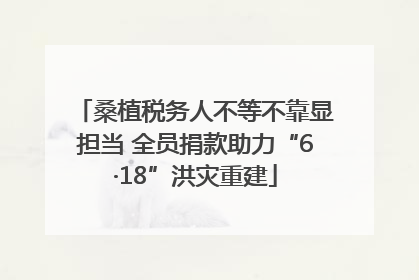 桑植税务人不等不靠显担当 全员捐款助力“6·18”洪灾重建