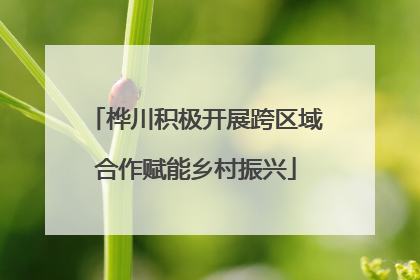 桦川积极开展跨区域合作赋能乡村振兴