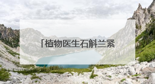 植物医生石斛兰紧致淡纹眼霜5.0新品发布会圆满落幕，景甜推介引爆热潮