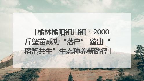 榆林榆阳镇川镇：2000斤蟹苗成功“落户” 蹚出“稻蟹共生”生态种养新路径