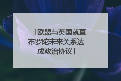 欧盟与英国就直布罗陀未来关系达成政治协议