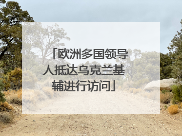欧洲多国领导人抵达乌克兰基辅进行访问