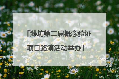 潍坊第二届概念验证项目路演活动举办