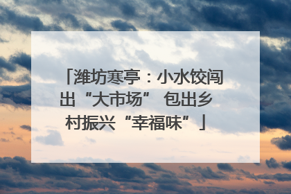潍坊寒亭：小水饺闯出“大市场” 包出乡村振兴“幸福味”