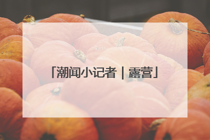 潮闻小记者｜露营