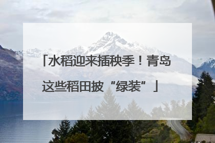 水稻迎来插秧季！青岛这些稻田披“绿装”