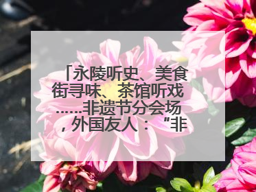 永陵听史、美食街寻味、茶馆听戏……非遗节分会场，外国友人：“非常棒”