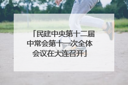民建中央第十二届中常会第十一次全体会议在大连召开
