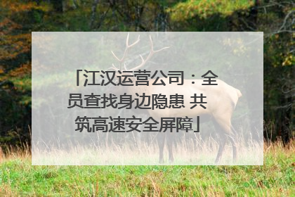 江汉运营公司：全员查找身边隐患 共筑高速安全屏障