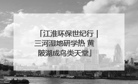 江淮环保世纪行｜三河湿地研学热 黄陂湖成鸟类天堂