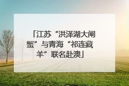 江苏“洪泽湖大闸蟹”与青海“祁连藏羊”联名赴澳