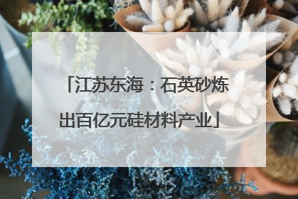 江苏东海：石英砂炼出百亿元硅材料产业