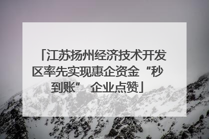 江苏扬州经济技术开发区率先实现惠企资金“秒到账” 企业点赞