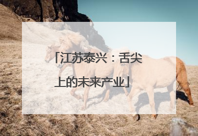 江苏泰兴：舌尖上的未来产业