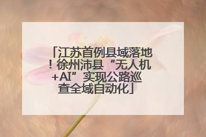 江苏首例县域落地！徐州沛县“无人机+AI”实现公路巡查全域自动化