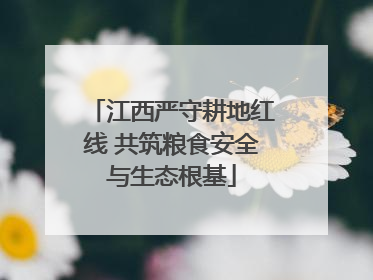 江西严守耕地红线 共筑粮食安全与生态根基
