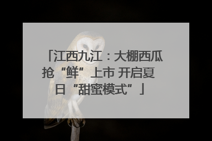 江西九江：大棚西瓜抢“鲜”上市 开启夏日“甜蜜模式”