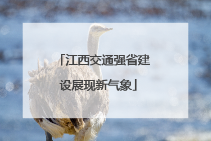 江西交通强省建设展现新气象
