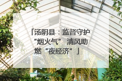 汤阴县：监督守护“烟火气” 清风助燃“夜经济”