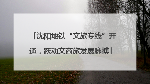 沈阳地铁“文旅专线”开通，跃动文商旅发展脉搏