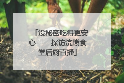 没秘密吃得更安心——探访浣熊食堂后厨直播
