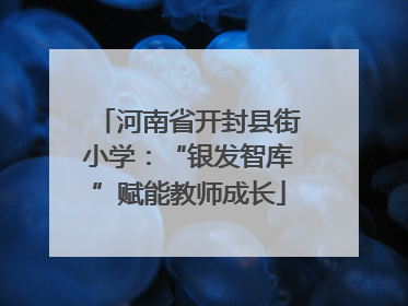 河南省开封县街小学：“银发智库”赋能教师成长