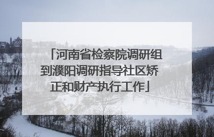河南省检察院调研组到濮阳调研指导社区矫正和财产执行工作