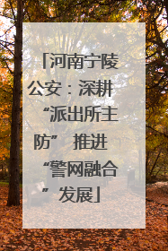 河南宁陵公安：深耕“派出所主防” 推进“警网融合”发展