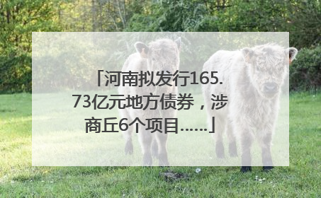 河南拟发行165.73亿元地方债券，涉商丘6个项目……