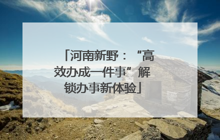 河南新野：“高效办成一件事”解锁办事新体验