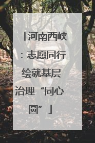 河南西峡：志愿同行 绘就基层治理“同心圆”