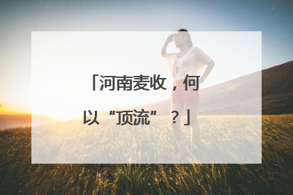 河南麦收，何以“顶流”？