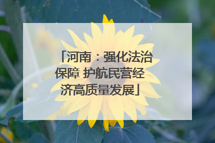 河南：强化法治保障 护航民营经济高质量发展