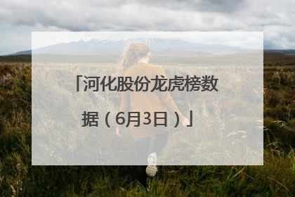 河化股份龙虎榜数据（6月3日）
