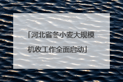 河北省冬小麦大规模机收工作全面启动