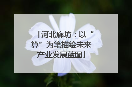 河北廊坊：以“算”为笔描绘未来产业发展蓝图