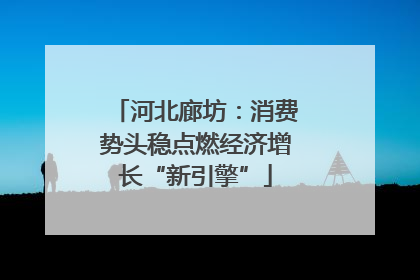 河北廊坊：消费势头稳点燃经济增长“新引擎”
