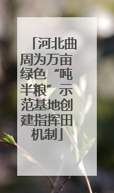 河北曲周为万亩绿色“吨半粮”示范基地创建指挥田机制