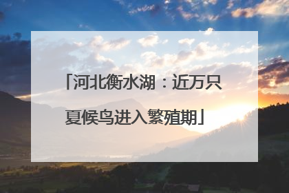 河北衡水湖：近万只夏候鸟进入繁殖期