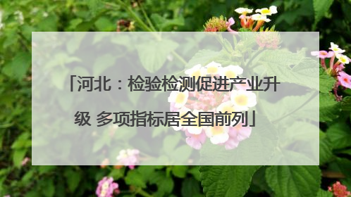 河北：检验检测促进产业升级 多项指标居全国前列